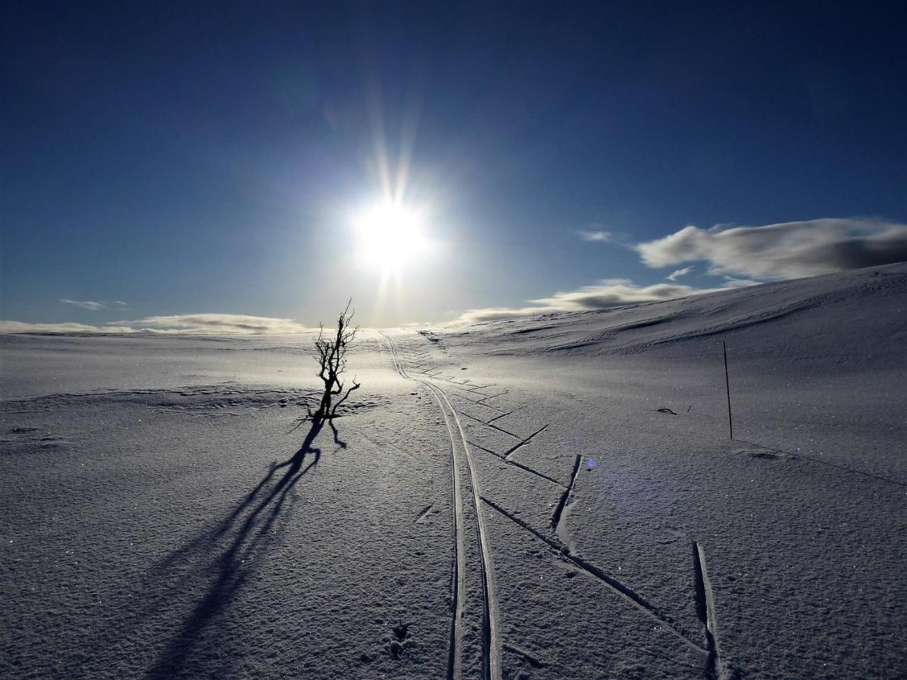 Varangertunet Arctic Resort Jakobselv Luaran gambar