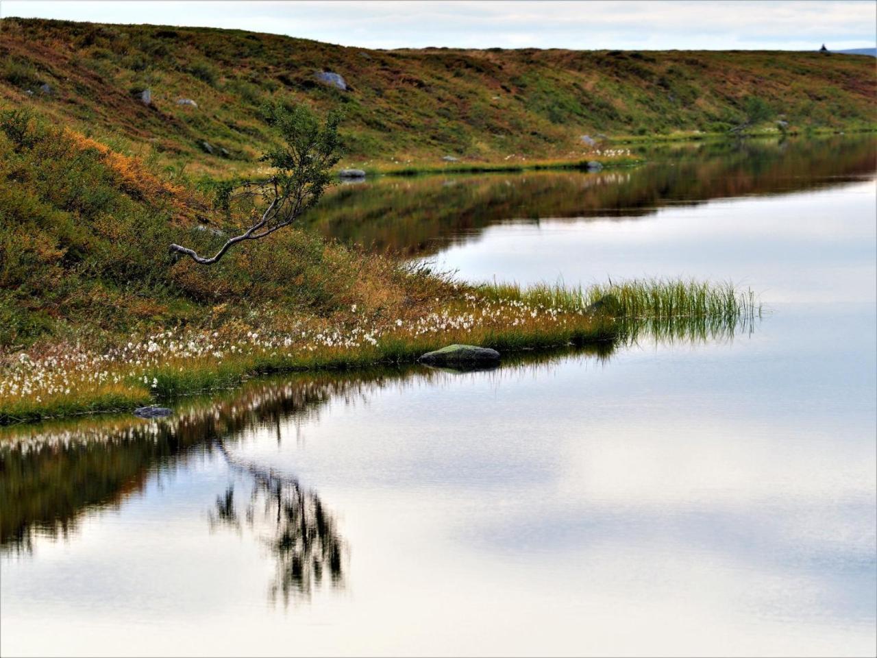 Varangertunet Arctic Resort Jakobselv Luaran gambar