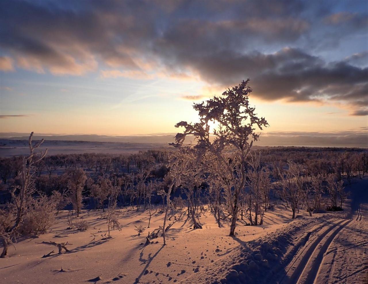 Varangertunet Arctic Resort Jakobselv Luaran gambar